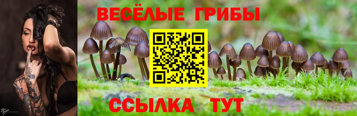 Пыть-Ях  Галлюциногенные грибы GOLDEN TEACHER  Галлюциногенные грибы Psilocybe  Вход с VPN 